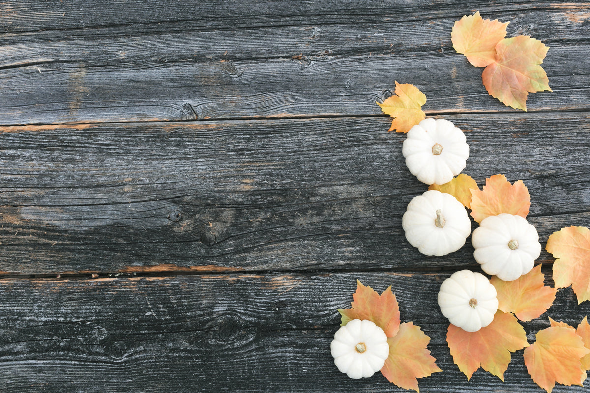 Terra Powders Fall Favorites Feature for Autumn with White Pumpkins on Wood Grain Background and Fallen Leaves
