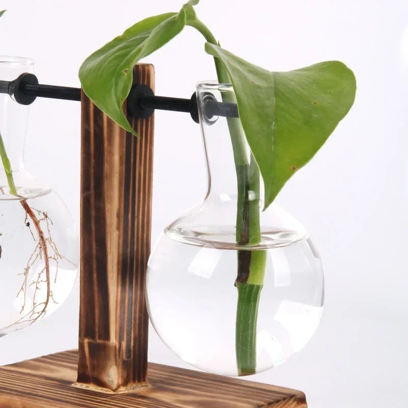 Close Up Glass Wood And Metal Hanging Vase